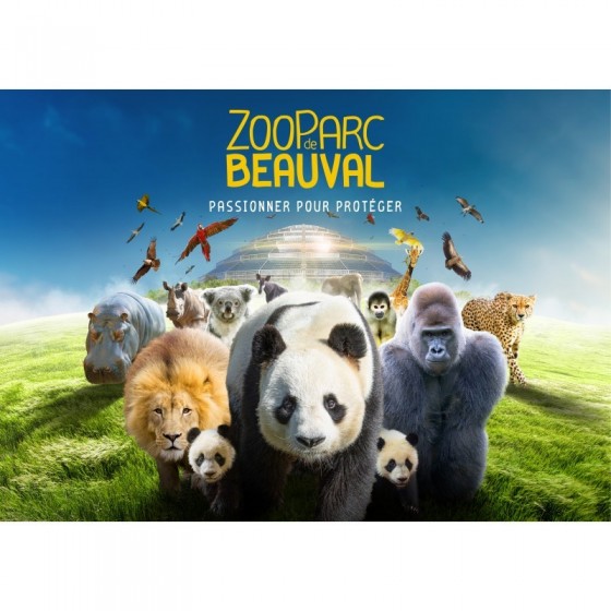 Journée au Zoo de Beauval
